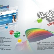 河南关键词优化平台/河南市网络优化推广代理/追天十
