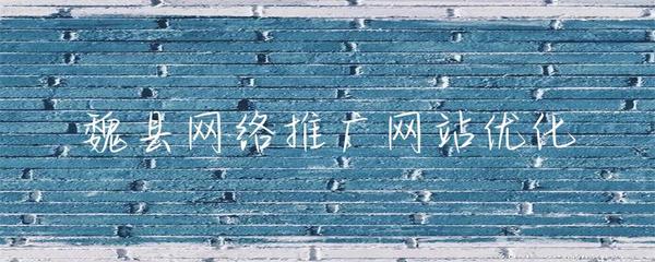 魏县网络推广网站优化