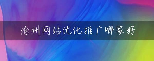 沧州网站优化推广哪家好